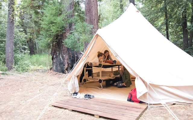 Litera Disc-O-Bed XL Negra 7 Litera Disc-O-Bed XL Negra - Imagen 7